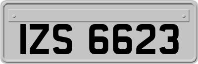 IZS6623