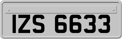 IZS6633