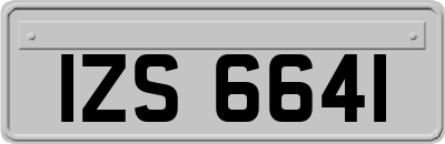 IZS6641