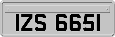 IZS6651