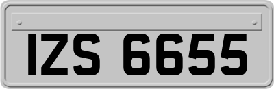 IZS6655