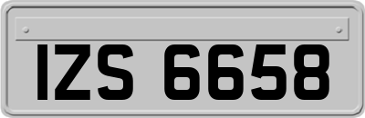 IZS6658