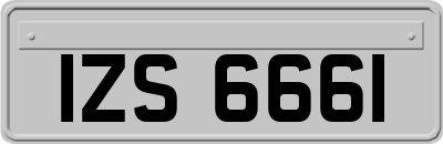 IZS6661