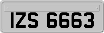 IZS6663
