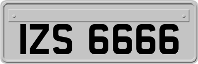 IZS6666