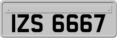 IZS6667