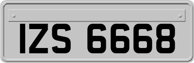 IZS6668