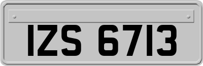 IZS6713
