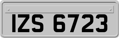 IZS6723