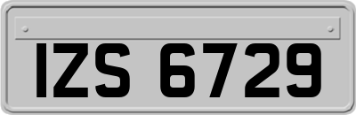 IZS6729