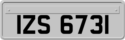 IZS6731