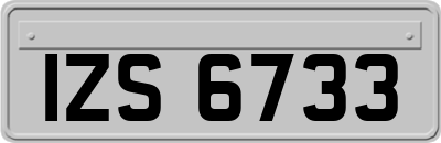 IZS6733