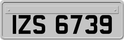 IZS6739