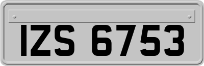 IZS6753