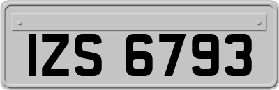 IZS6793