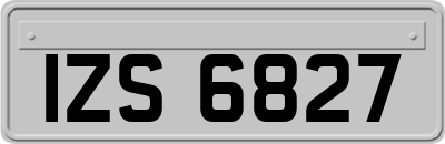 IZS6827