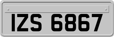 IZS6867