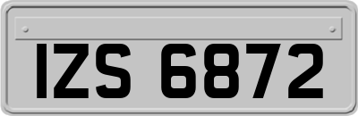 IZS6872