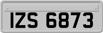 IZS6873
