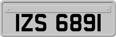 IZS6891
