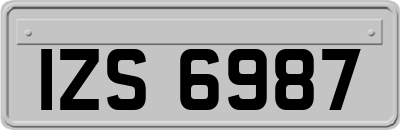 IZS6987