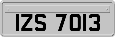 IZS7013
