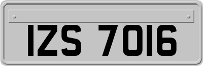 IZS7016