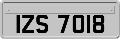 IZS7018