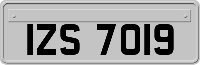 IZS7019