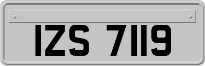 IZS7119