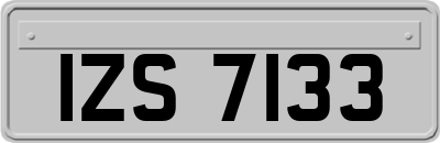 IZS7133