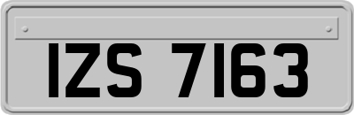 IZS7163