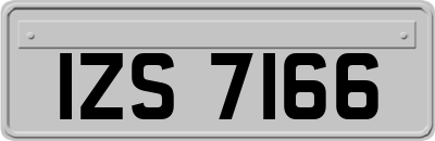 IZS7166