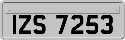 IZS7253