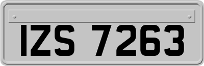 IZS7263