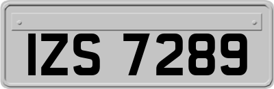 IZS7289
