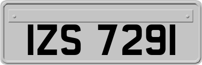 IZS7291