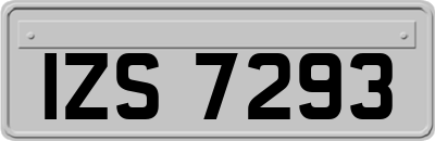 IZS7293