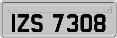 IZS7308