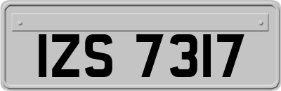 IZS7317