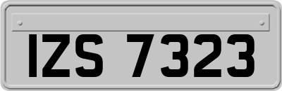 IZS7323