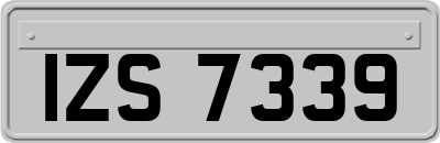 IZS7339