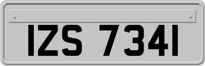 IZS7341
