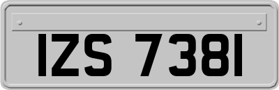 IZS7381