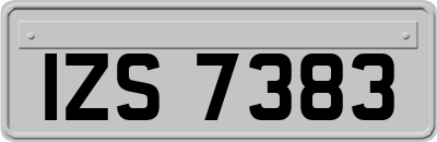 IZS7383