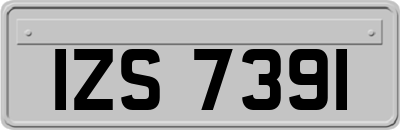 IZS7391