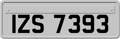 IZS7393