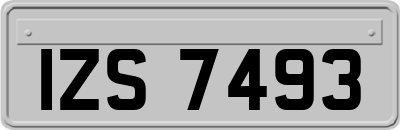 IZS7493