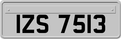 IZS7513