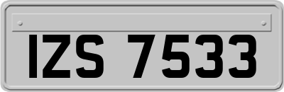 IZS7533